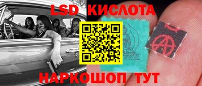 mdpv Заводоуковск