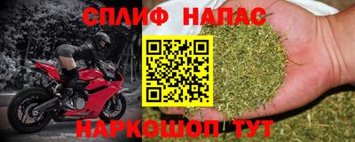 mdpv Заводоуковск