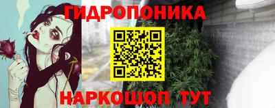 бошки Жуковский