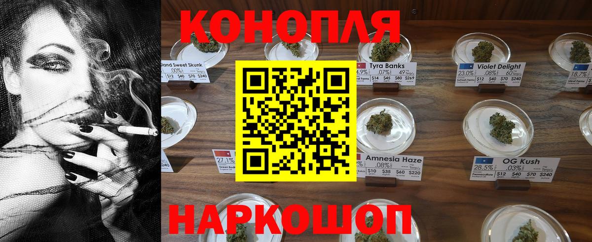 Марихуана тримм  Вход с VPN  Конопля индика  Лесосибирск 